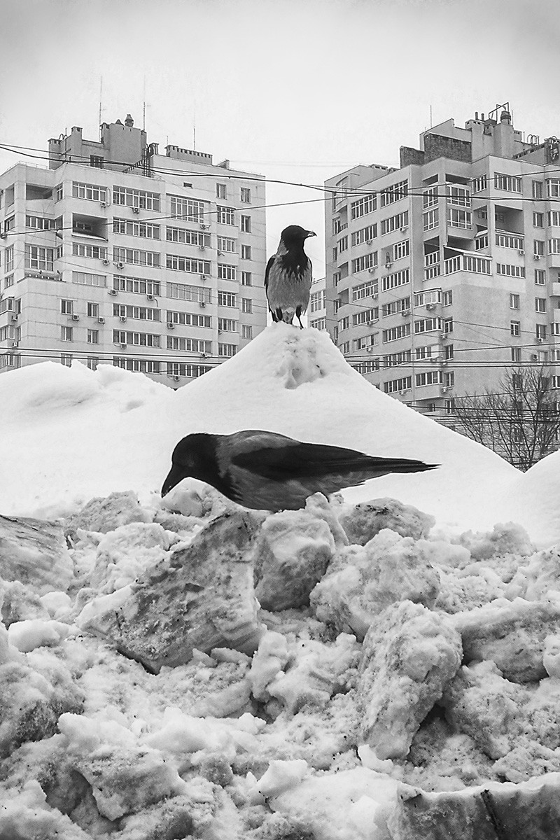 Царь горы