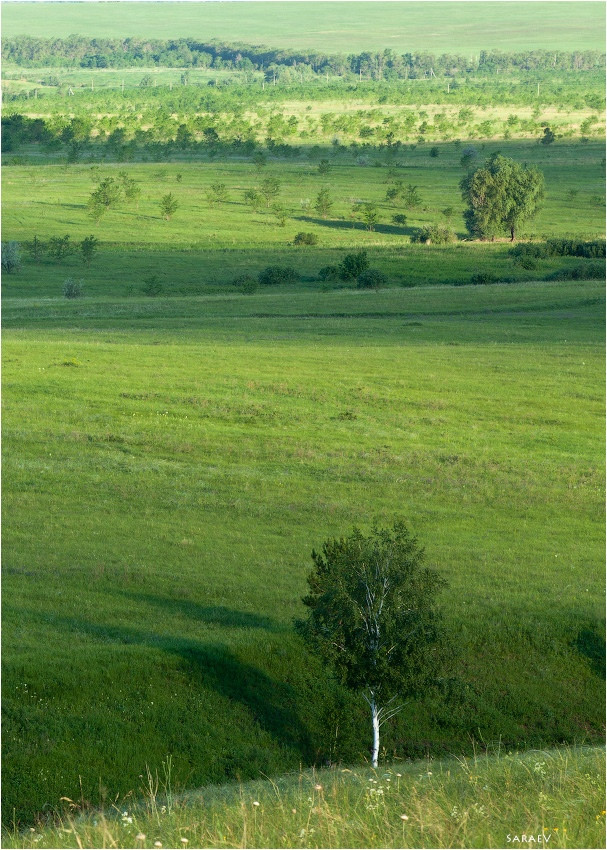 Поле.